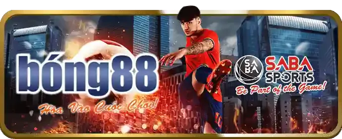Đặt cược và theo dõi trận đấu đá gà
